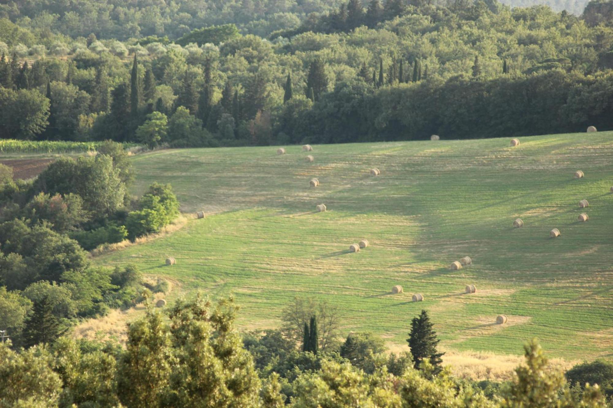 בית הארחה מונטריג'יוני 	Antico Borgo Poggiarello מראה חיצוני תמונה